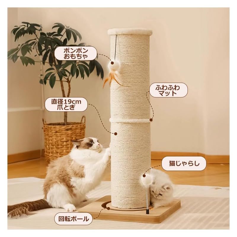 組立簡単 安定性