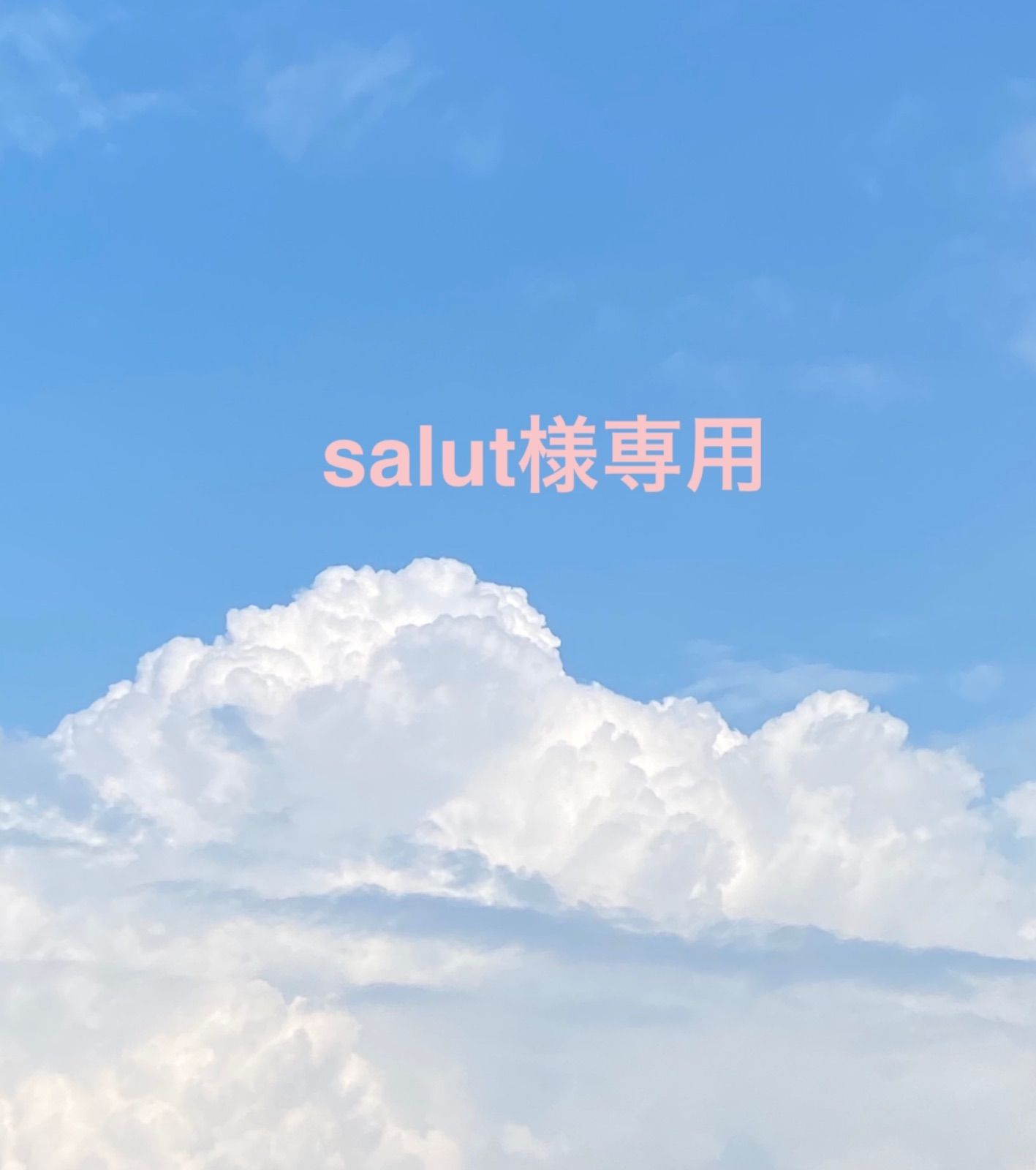 最大99%オフ! salut様 専用