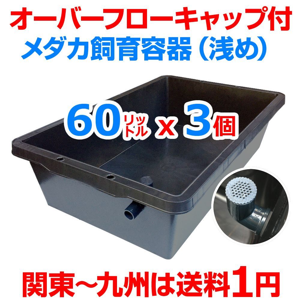 五色アクア メダカ飼育ケース 60㍑黒x3個 オーバーフローキャップ付トロ舟 金魚飼育容器 屋外飼育水槽 水草 ビオトープ メダカ水槽 大雨対策 タライ プラ舟 金魚鉢 らんちゅう 約82cmx約51cmx約20.7cm