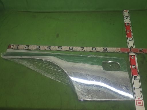 ドアガーニッシュ