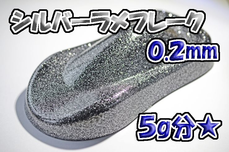 シルバーラメフレーク 0.2mm 5g☆WOLF WORKS - メルカリ