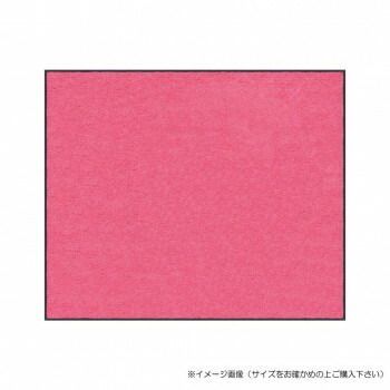 クリーンテックス スタンダードマットS ピンク 75×90 cm