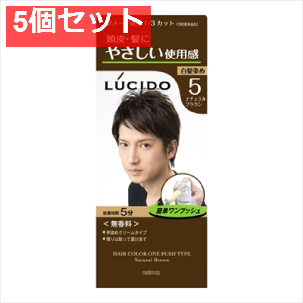 ルシード ワンプッシュケアカラー ナチュラルブラウン （医薬部外品） 5個セット まとめ売り
