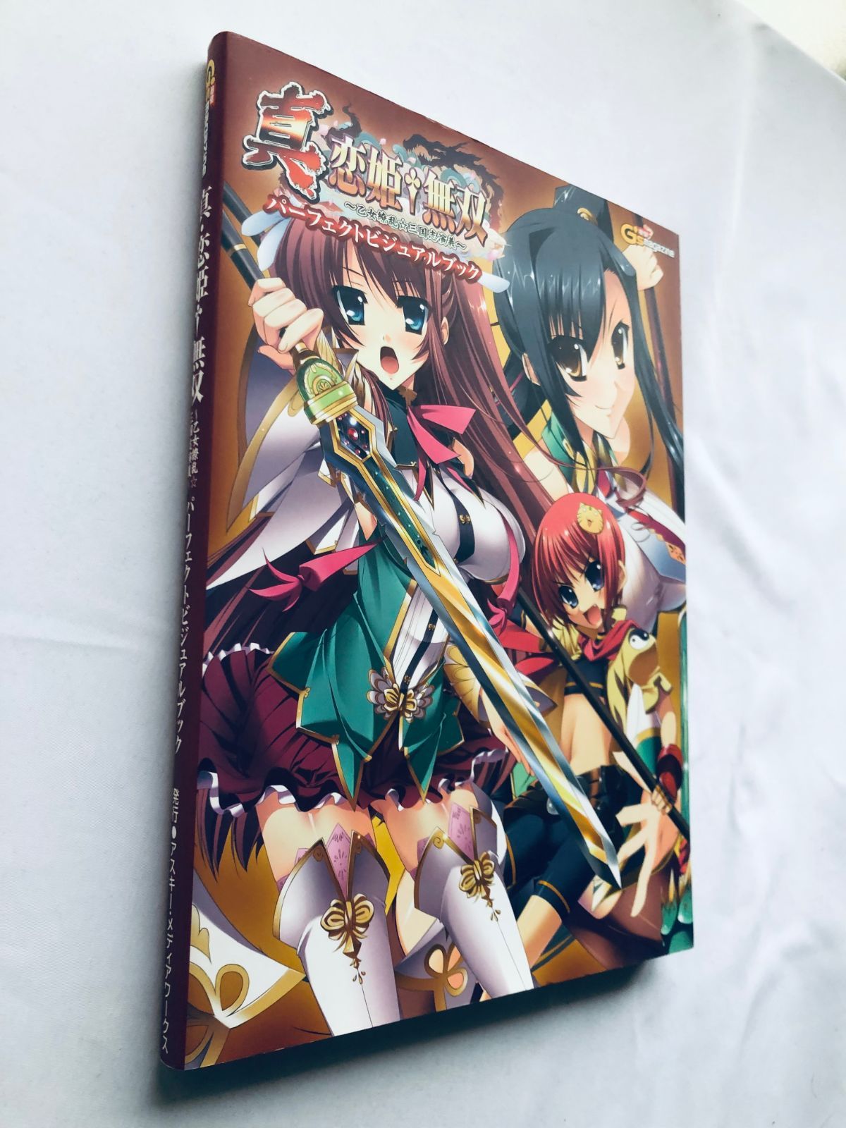 TVアニメ真・恋姫・無双ビジュアル・ガイドブック TVアニメ恋姫・無双ビジュアル・ガイドブック (JIVE FAN BOOK