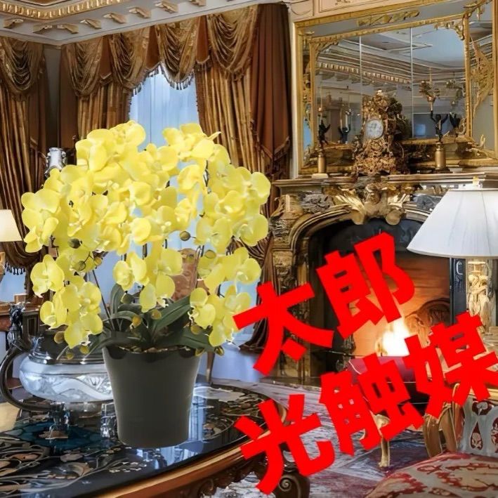 光触媒 人工観葉植物 ウォールグリーン フェイク リアル胡蝶蘭7540
