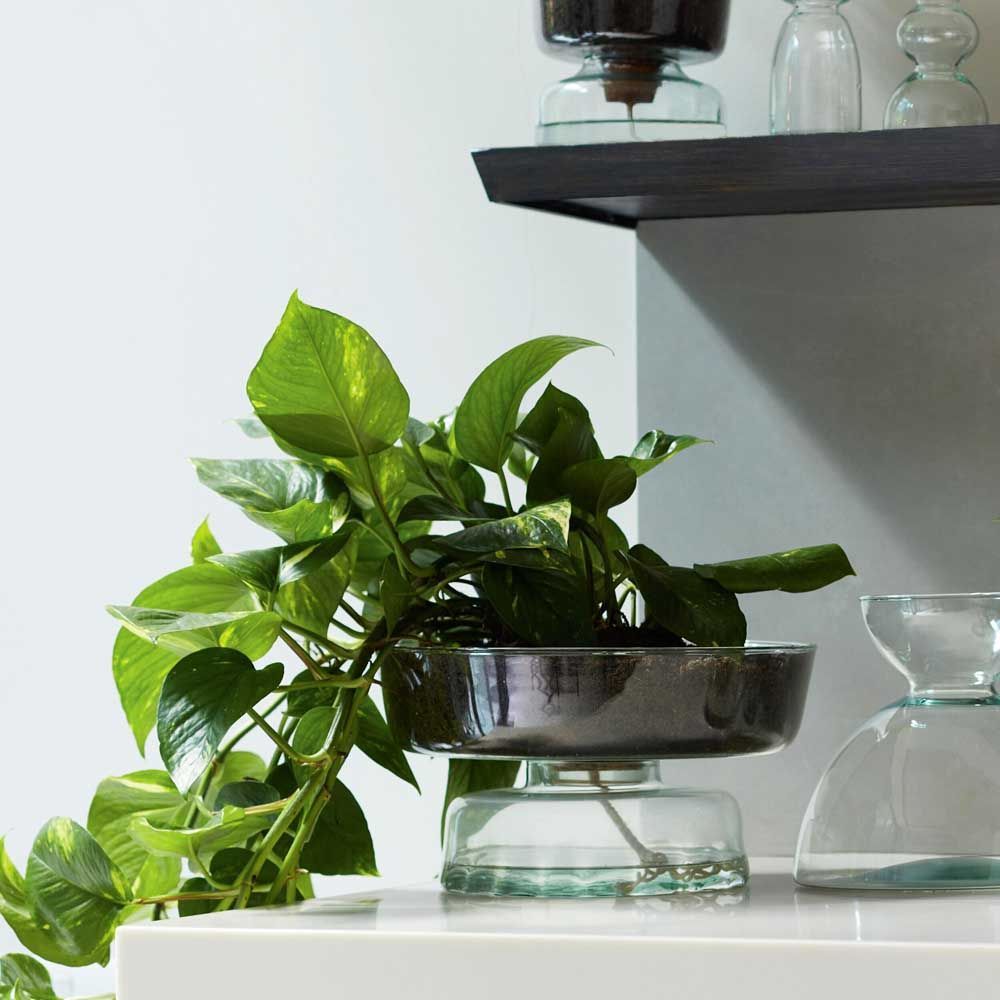 L3501-175 英国アンティーク ブリキドラム 鉢 ガーデニング ゴミ箱