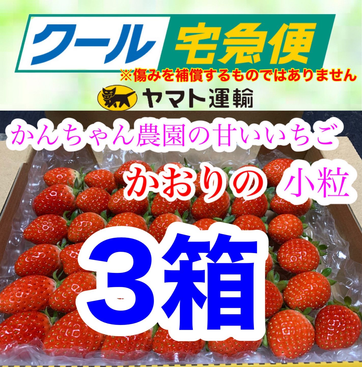 「新鮮朝採り」クール便❗️2箱 かんちゃん農園 甘いいちご