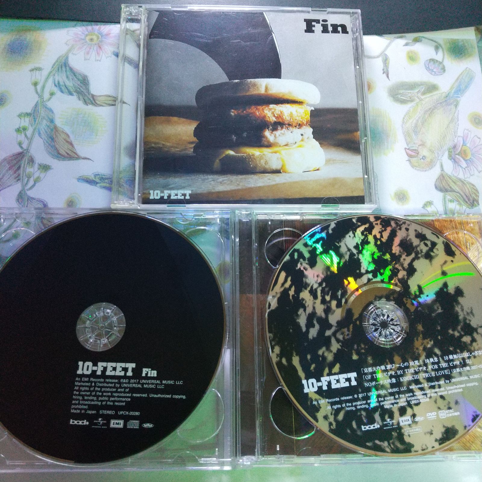 10-feet fin CD DVD - 邦楽