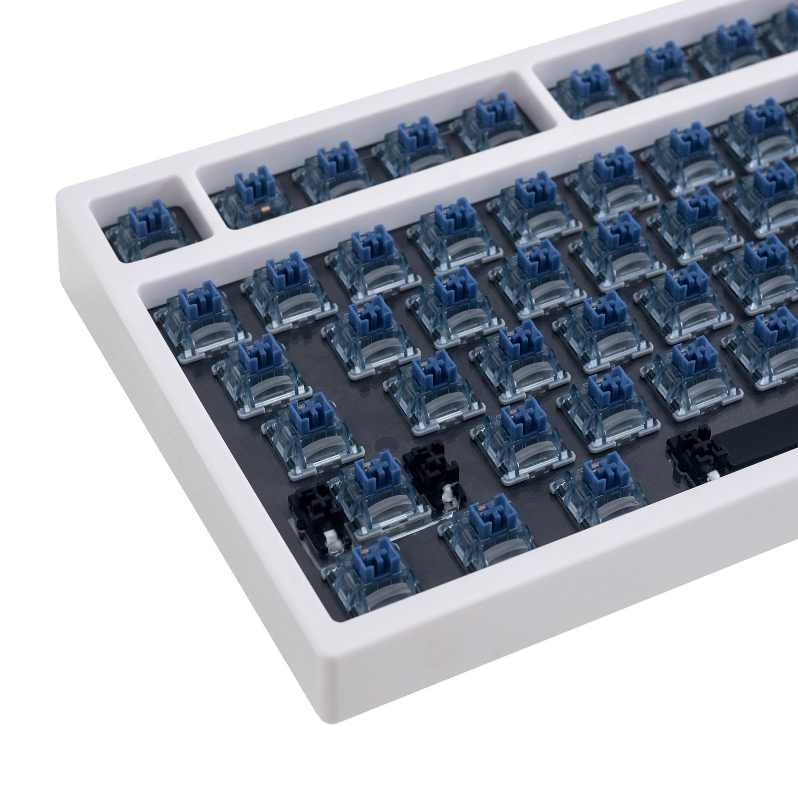 新品ニュースキン ティ・エス トゥルー フェイス アイズ アイクリーム