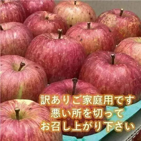 サンふじ｜青森県産もったいない林檎-7