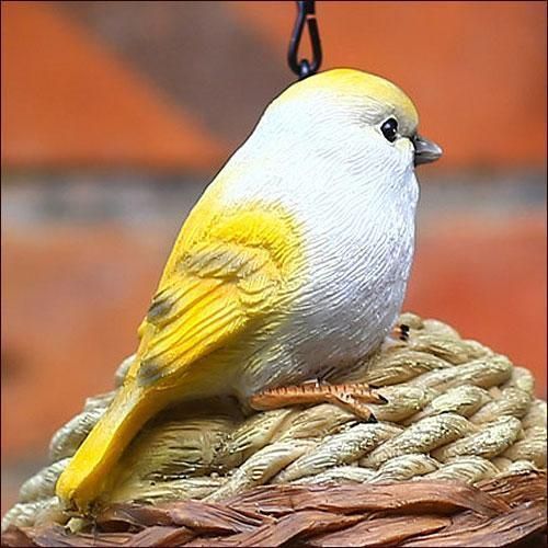 ガーデニング バードボックス