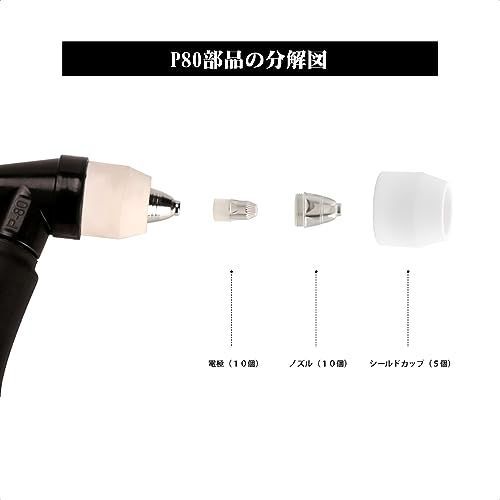 希少 バンドゥリア 小型 リュート属 12弦 撥弦楽器 スペイン ラテン