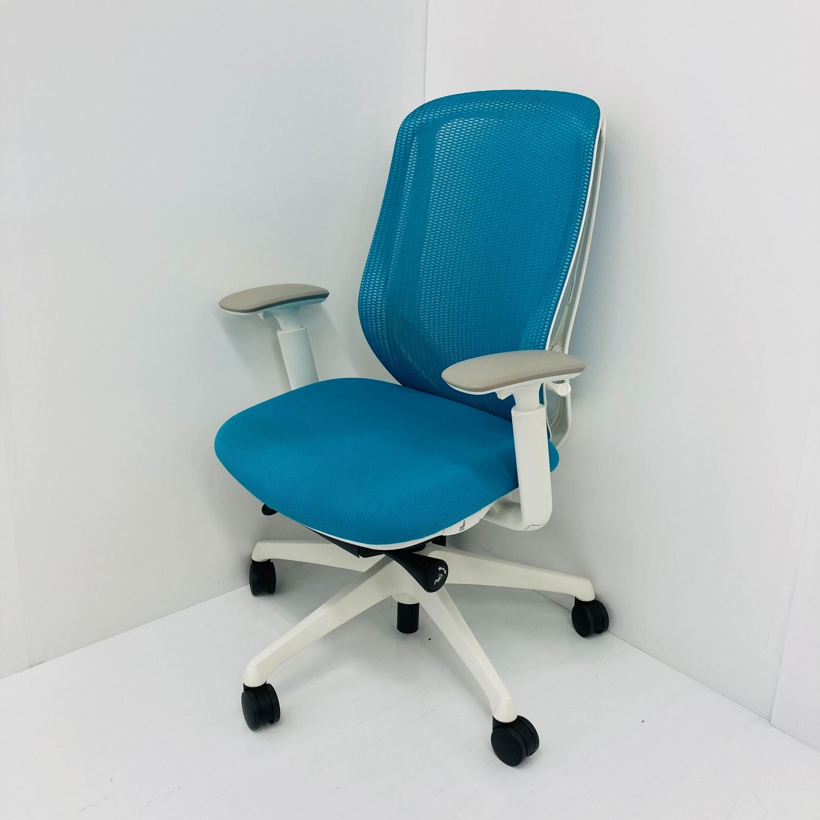 A 品 _2025年製 Sylphy シルフィー C685XW-FMR6