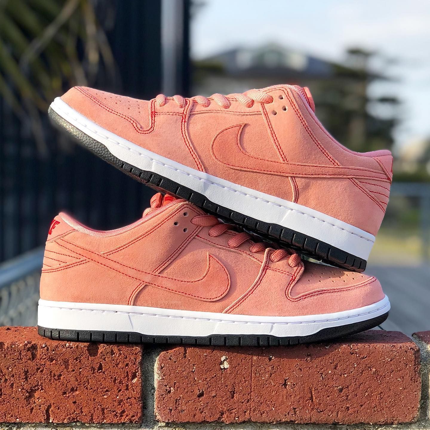 NIKE SB DUNK LOW PRO 