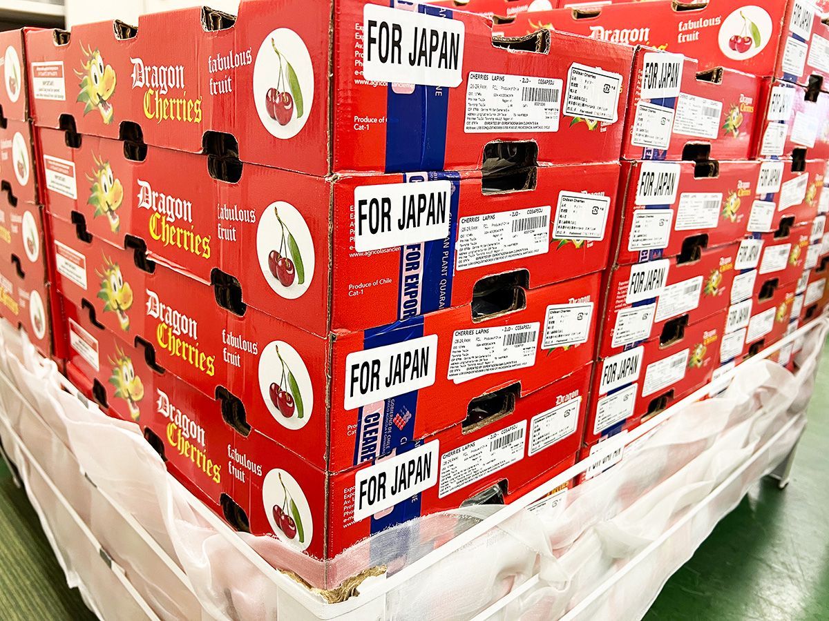 果物ギフト