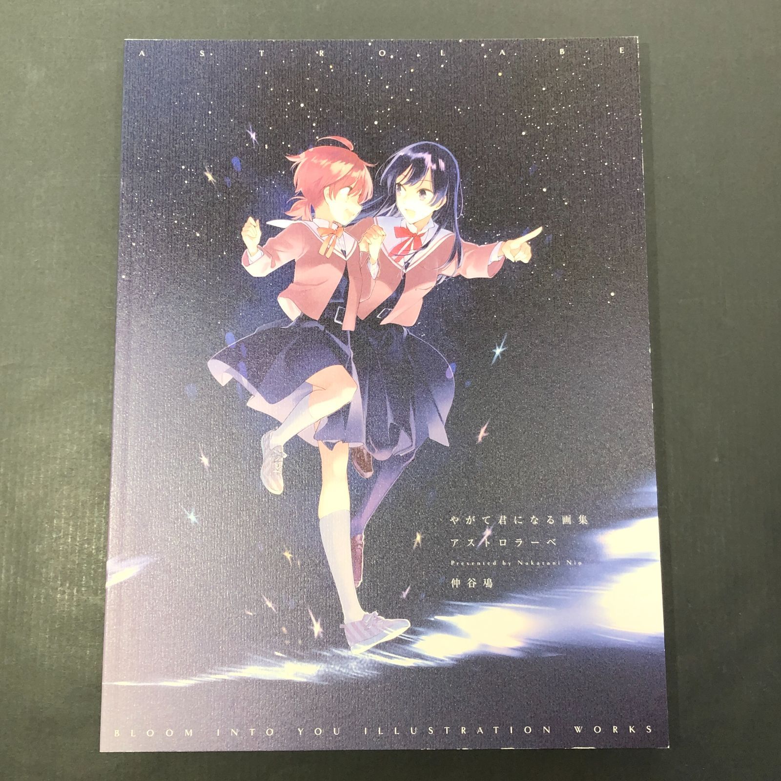 城東4-046】やがて君になる画集 アストロラーベ / 仲谷 鳰