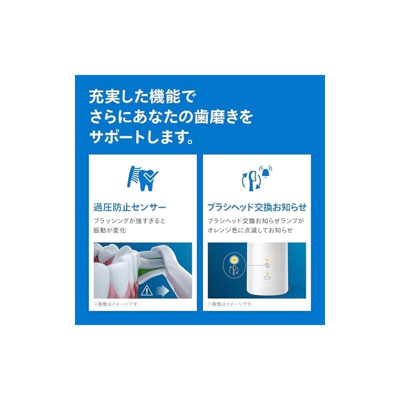 プロテクトクリーンプラス