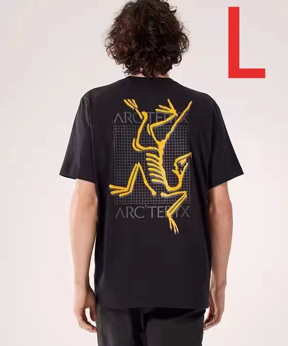 Arc'teryx アークテリクス アークマルチバードロゴショートスリーブメンズ ブラック L - メルカリ
