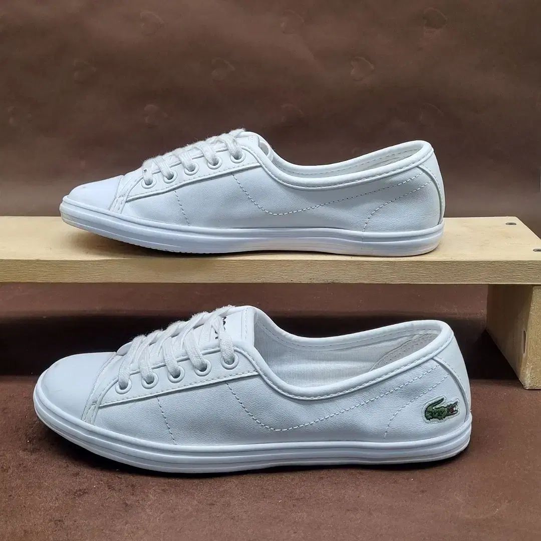 LACOSTE ラコステ ジャンヌ スニーカーズ 35 5 225