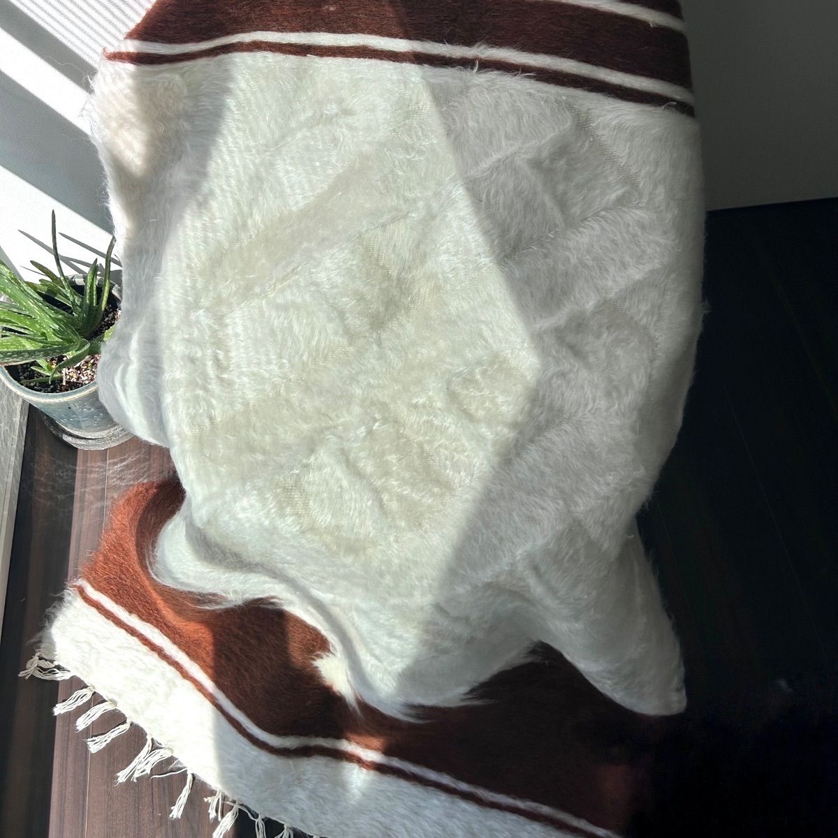 |トルコより直輸入