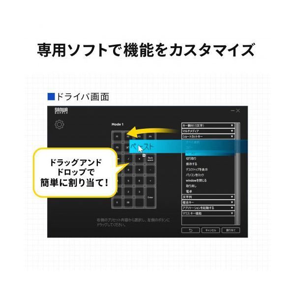 サンワサプライ プログラマブルテンキー 有線モデル NT-26UBK VETTDRUCK_DE