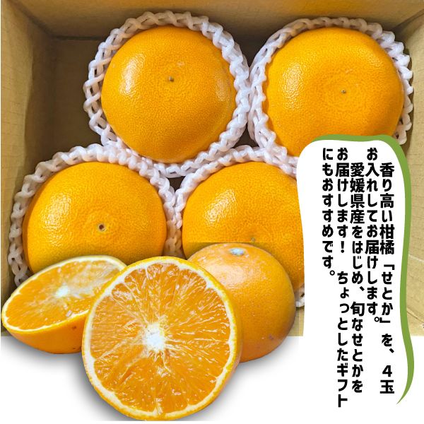 愛媛県産 せとか 4玉 秀品 ギフト 贈答 セトカ 約1kg 和歌山県産