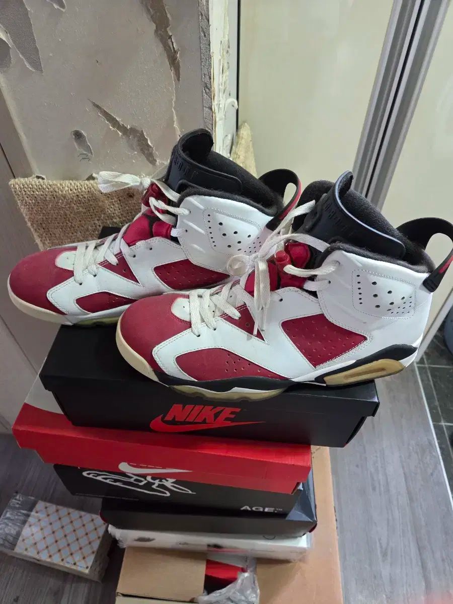 ナイキ エア ジョーダン 6 カーミン 2014