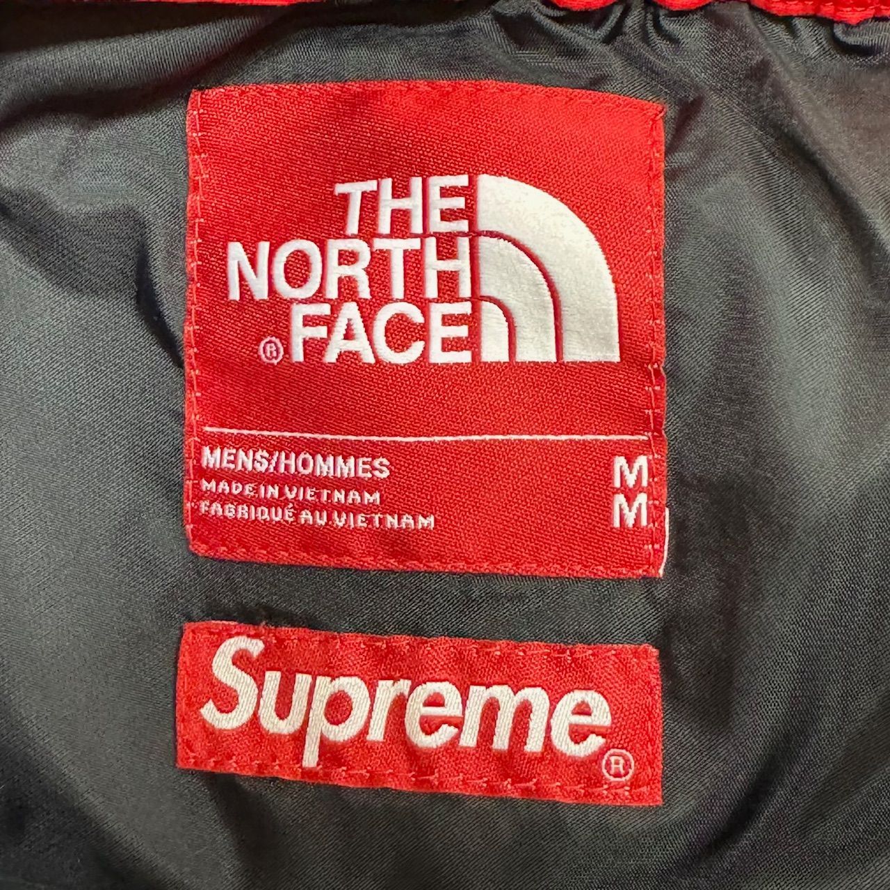 国内正規 SUPREME The North Face 19SS Arc Logo Mountain Pant 