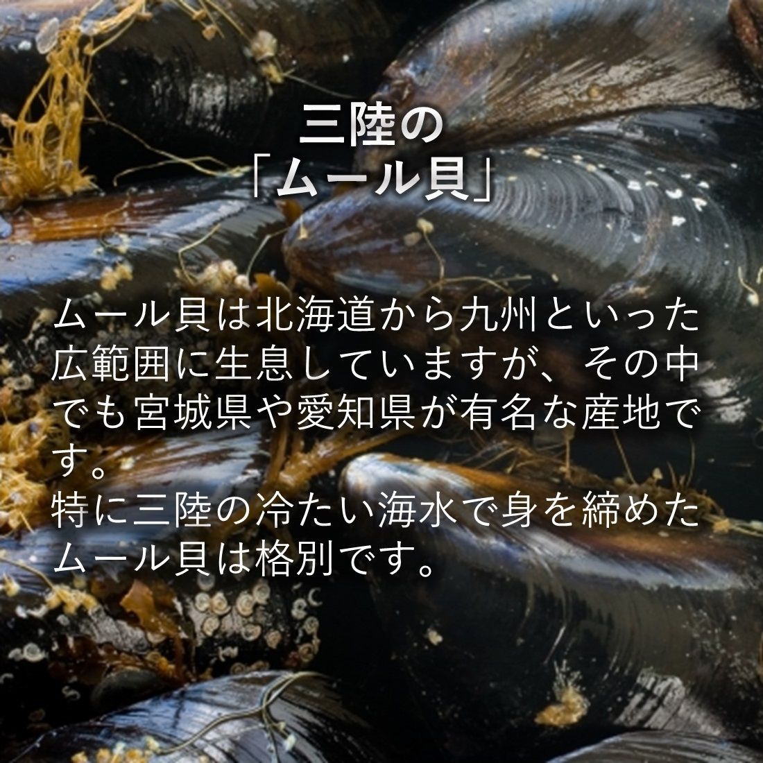三陸産 貝づくし4種セット 様々な貝を詰め込みました！単体でご注文前のお試しにも