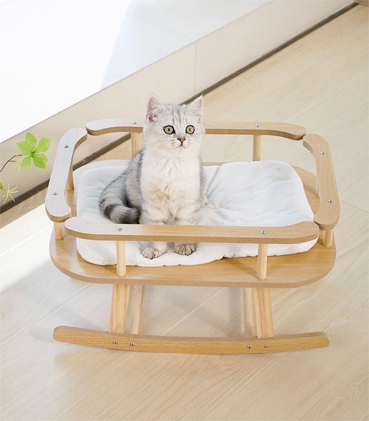 小型犬 猫