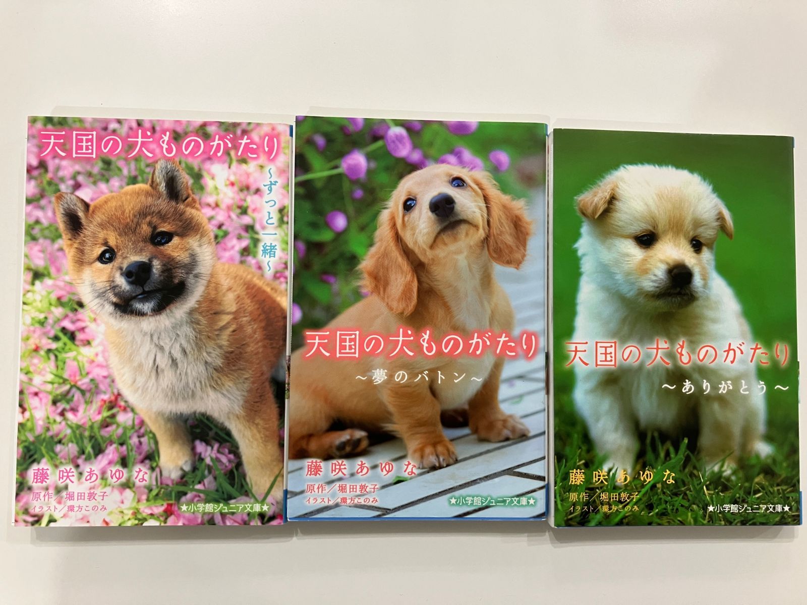 天国の犬ものがたり 3冊セット - 文学・小説