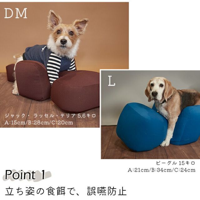 種類5