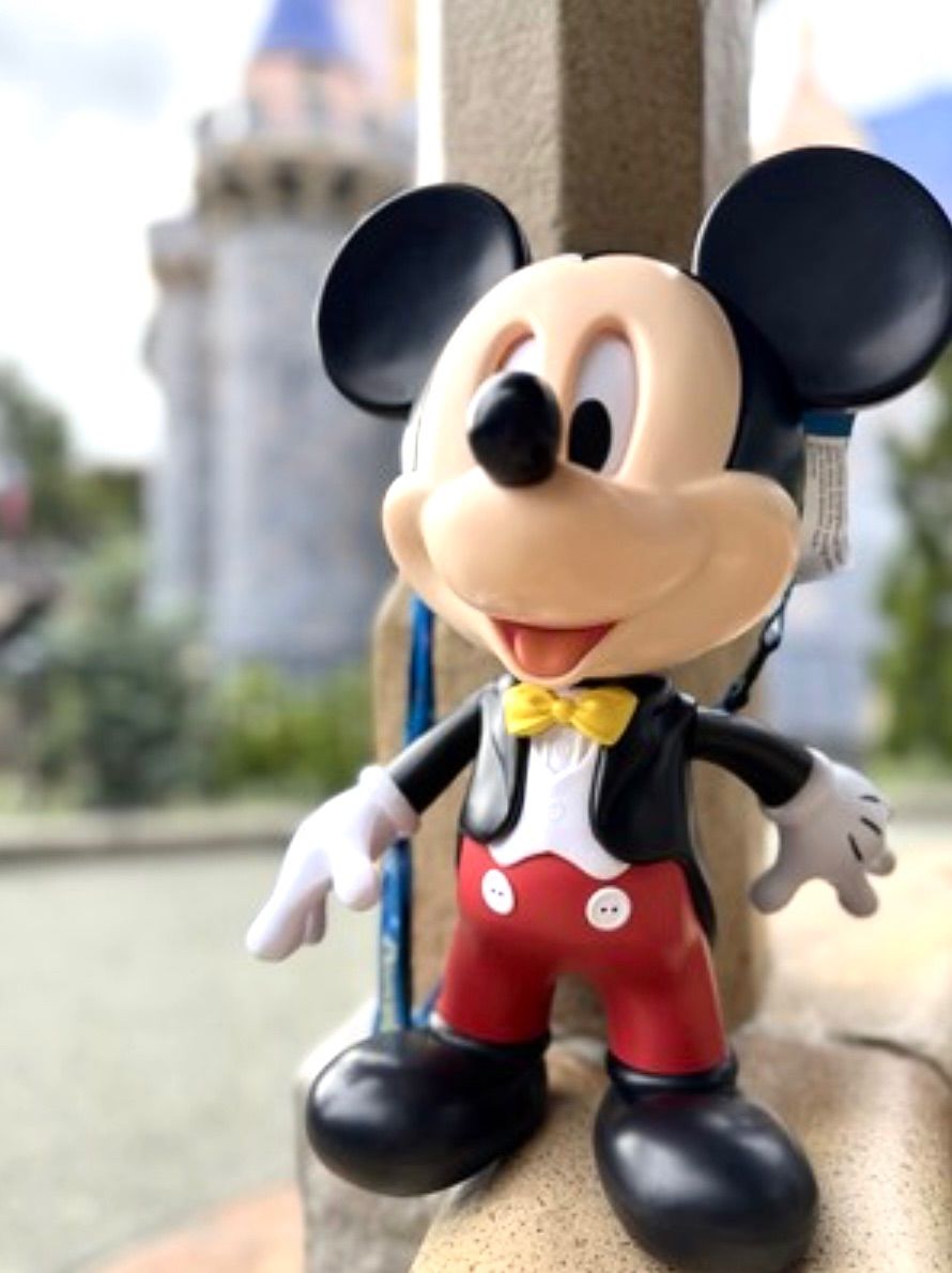 ディズニーランド 70周年限定ポップコーンバケット アナハイム