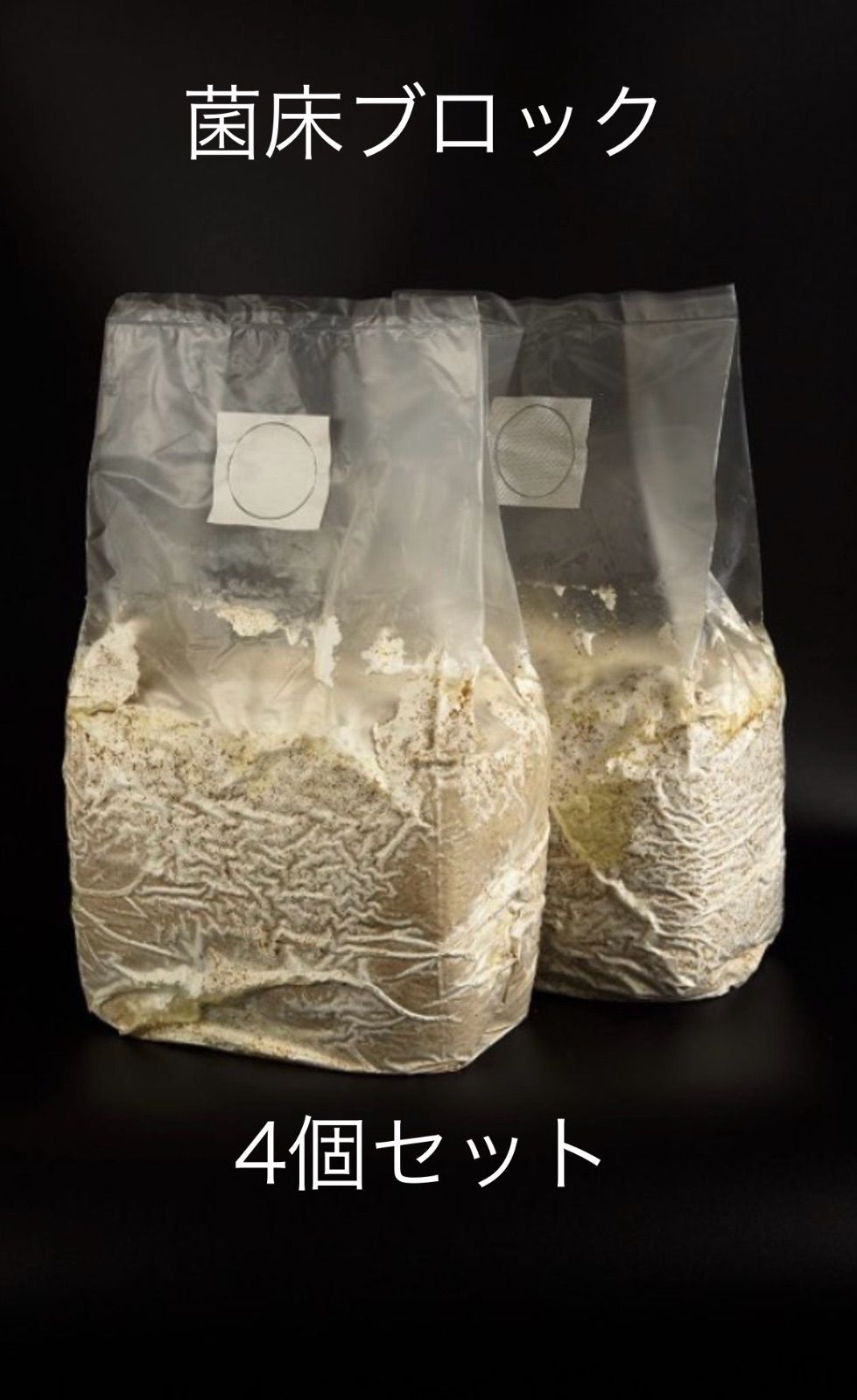 カワラ菌糸瓶 産卵用1400入手困難6本セット