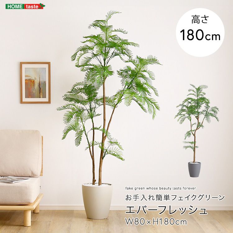 お手入れ簡単フェイクグリーン エバーフレッシュ Lサイズ 2801