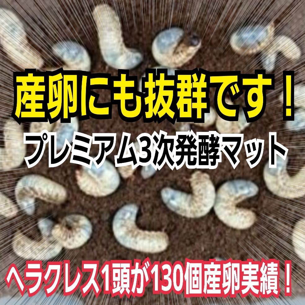 3次発酵カブトムシマット