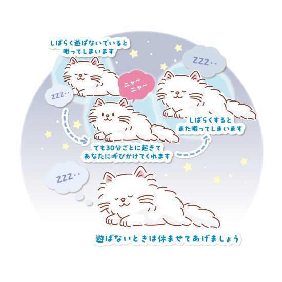 メルカリ特典