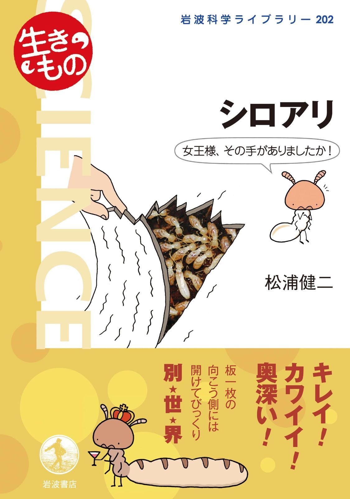 ボルビック レディース ダウン100サイズ