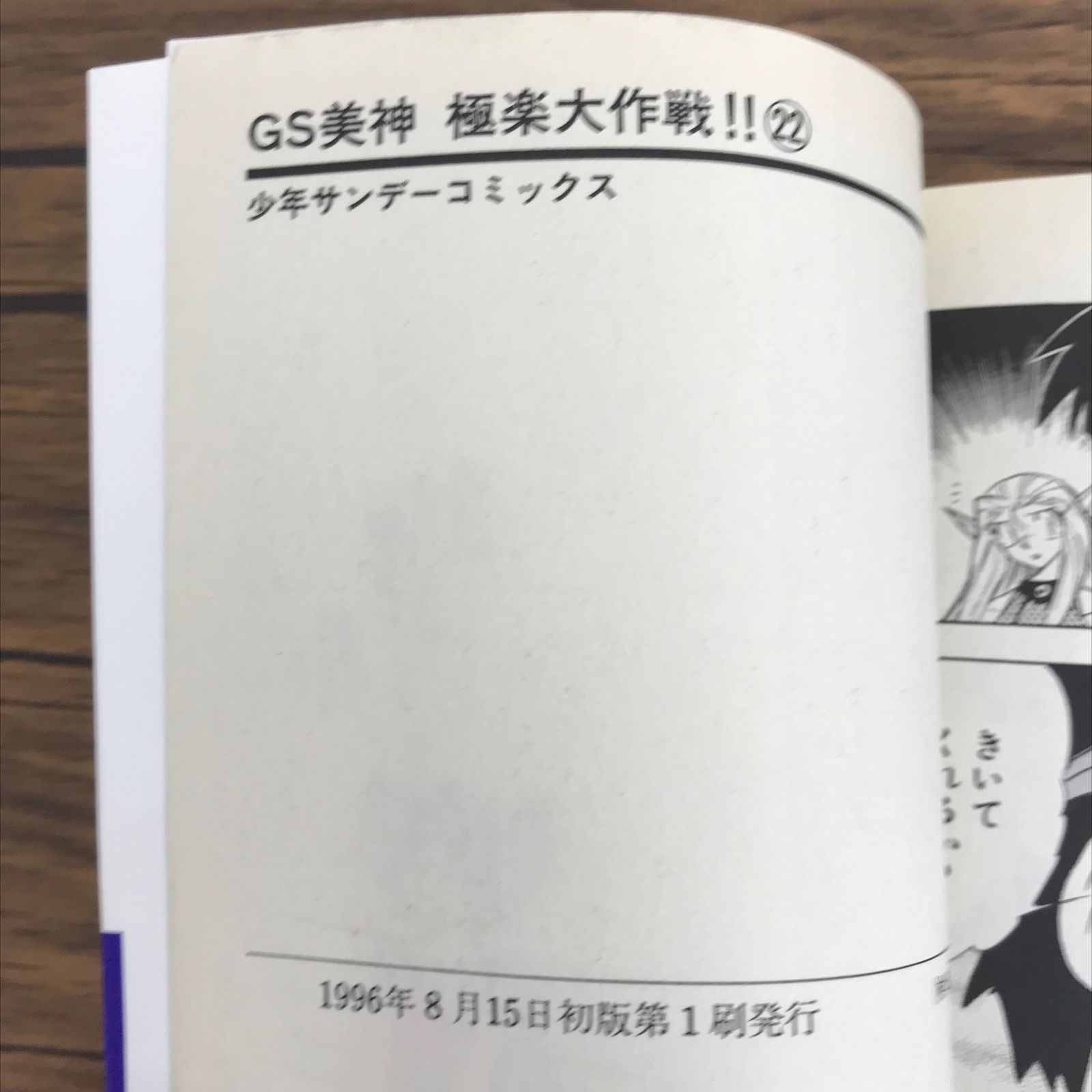 廃版希少水墨美術大系第2,3,5,7,10巻　計5巻セット 初版 GS美神 極楽大作戦!! 34巻/【作者】椎名高志/0225023667-YP