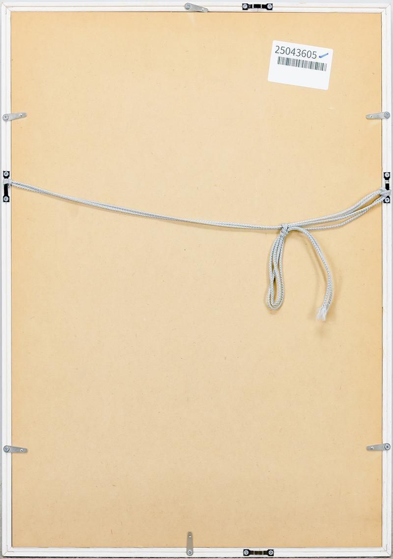 横尾忠則 リトグラフ 銅版画 直筆サイン 限定20部 現代美術 横尾忠則