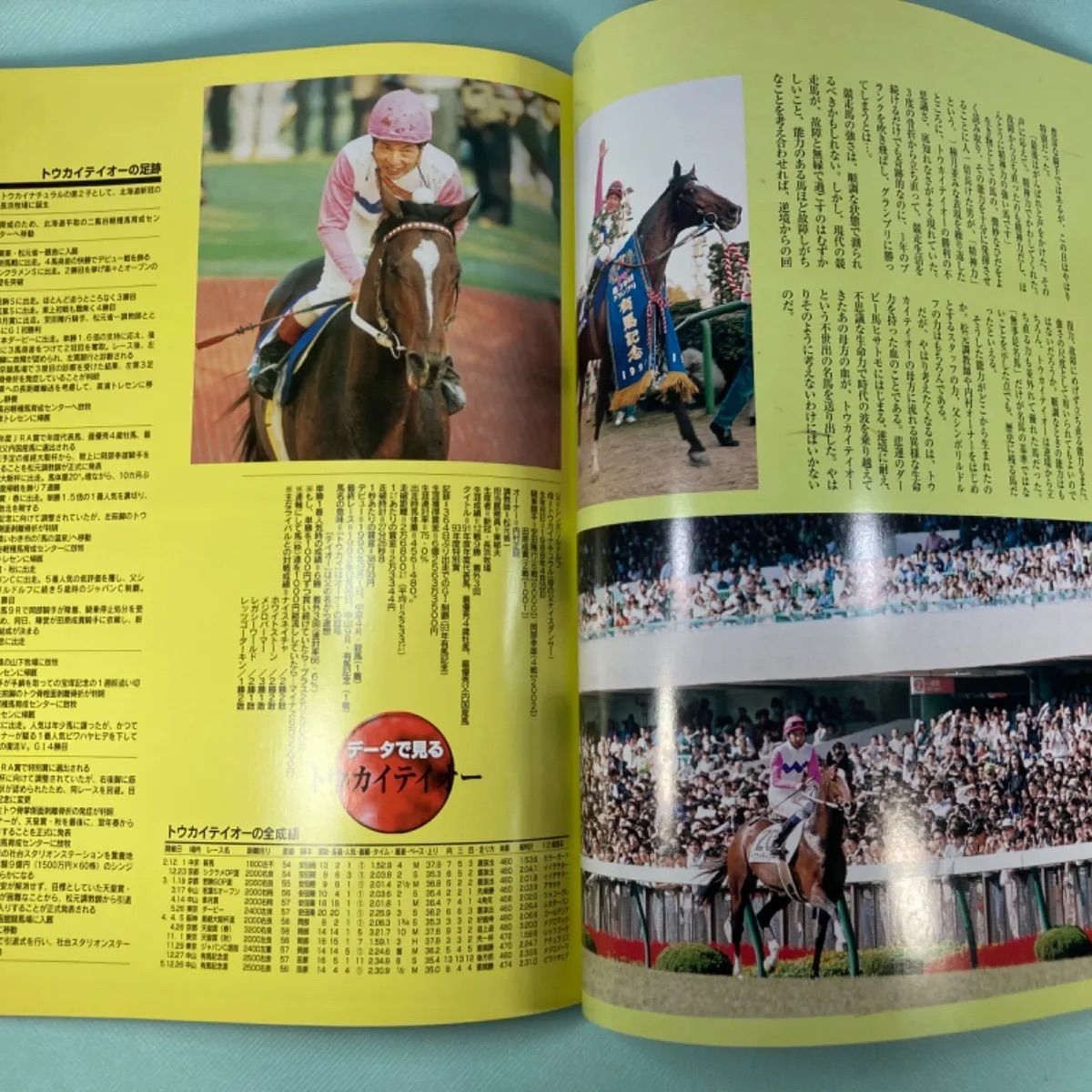 Gallop DVD 100名馬 セレクション オグリキャップ