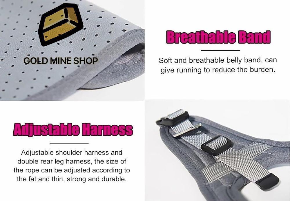 ワンちゃん4輪 リハビリ 食事補助 犬用車椅子 介護 補助 犬用歩行器