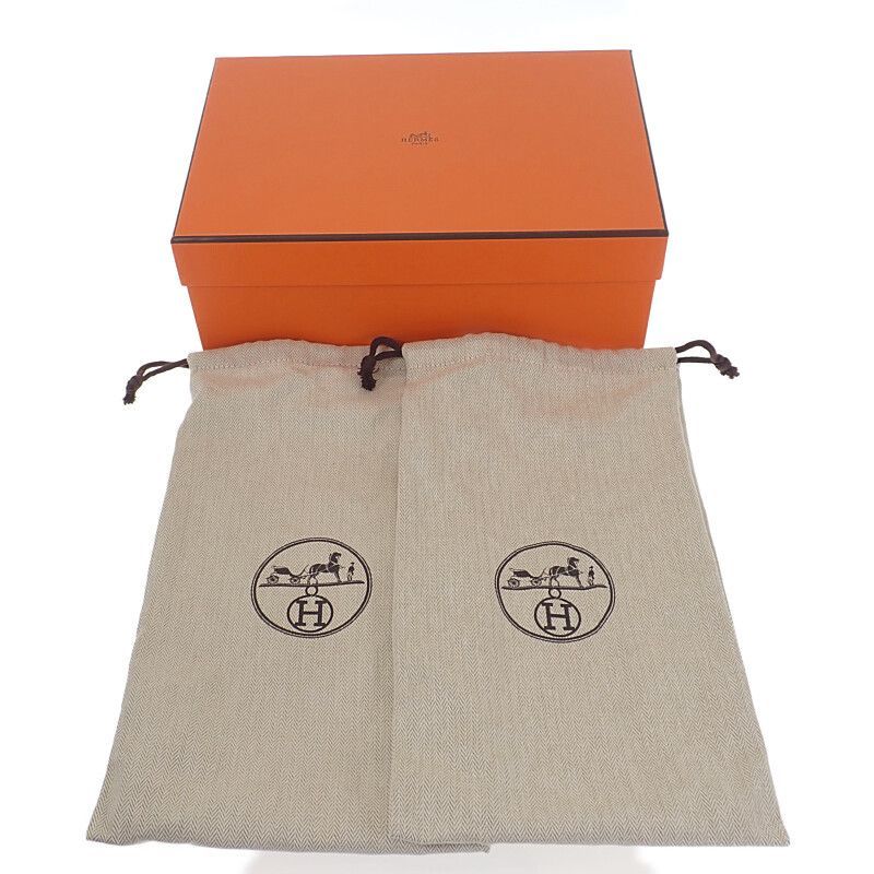 エクストラ H241017Z_02375