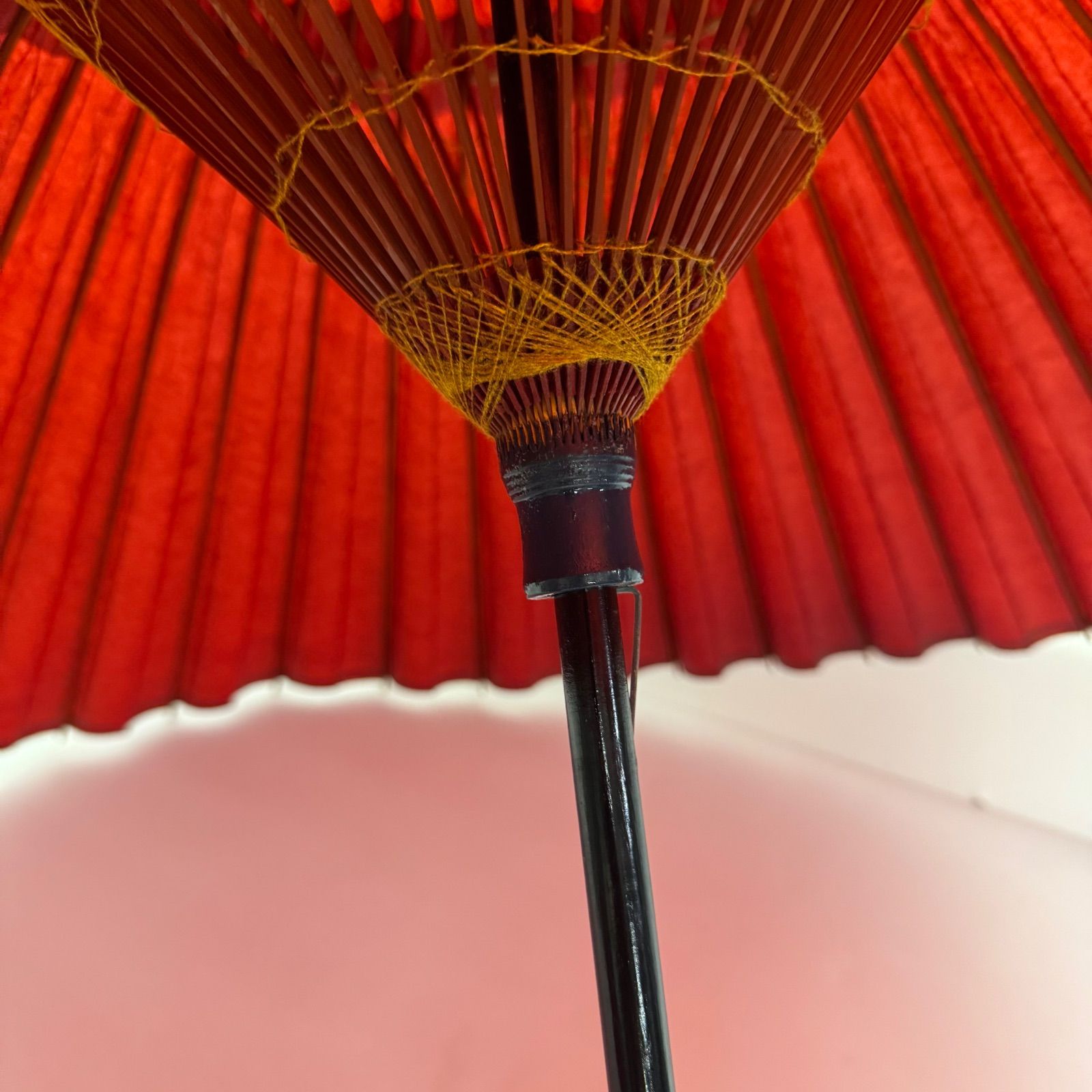 ディスプレイにも最適