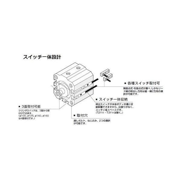 7営業日以内発送 ＣＫＤ