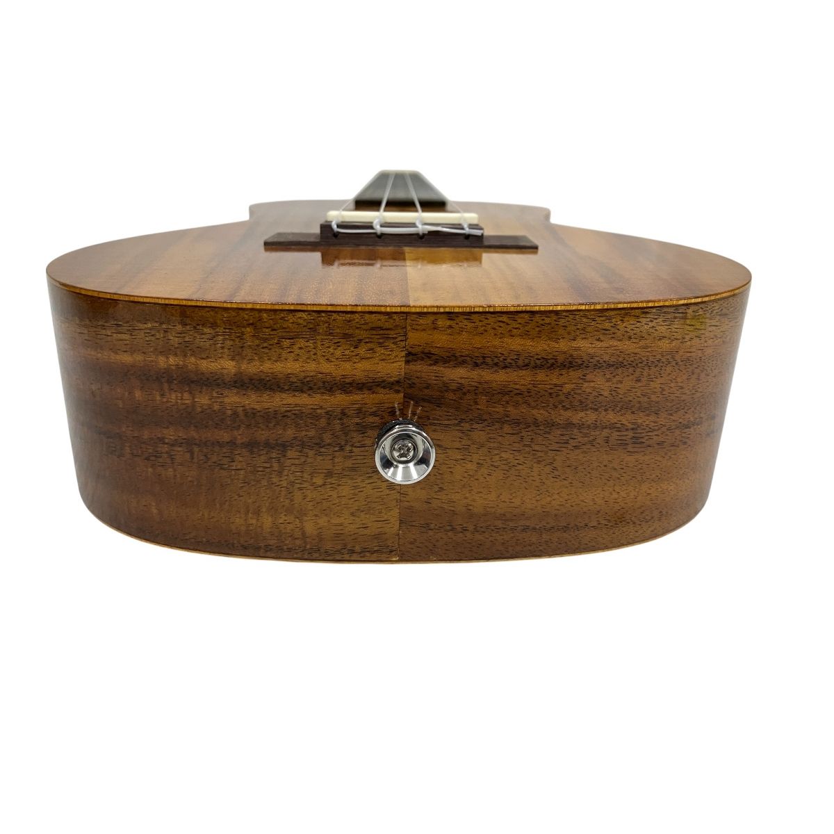 コア材 ケース付属