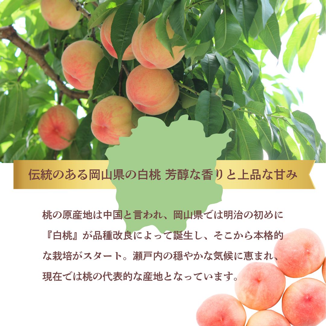 桃シャイン