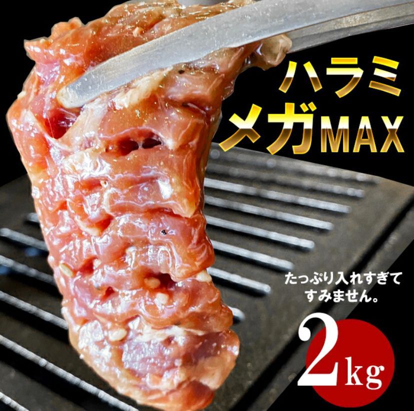 400ｇ増量中‼合計2kg「テレビで紹介」タレ漬け牛ハラミ 焼肉バーベキュー