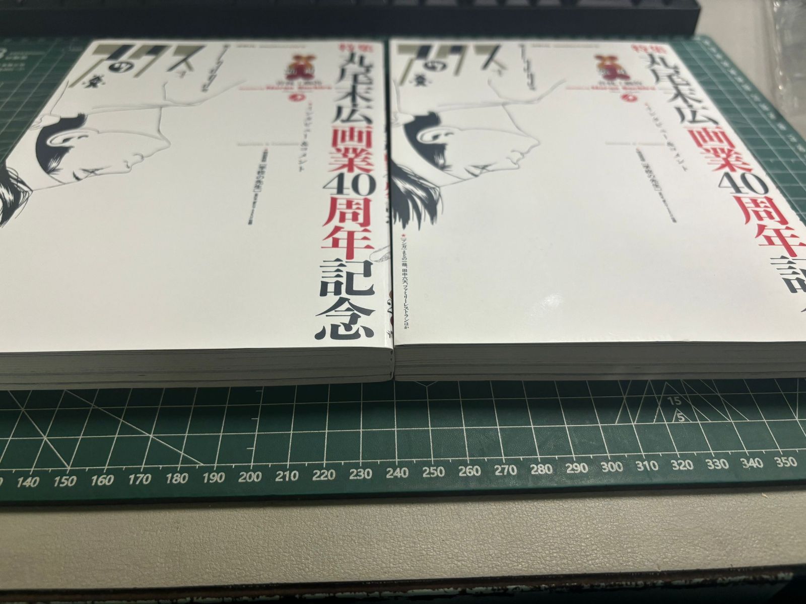 丸尾末広 額入作品 TS-00294 アックス 139 特集 丸尾末広 画業40周年記念 2021年