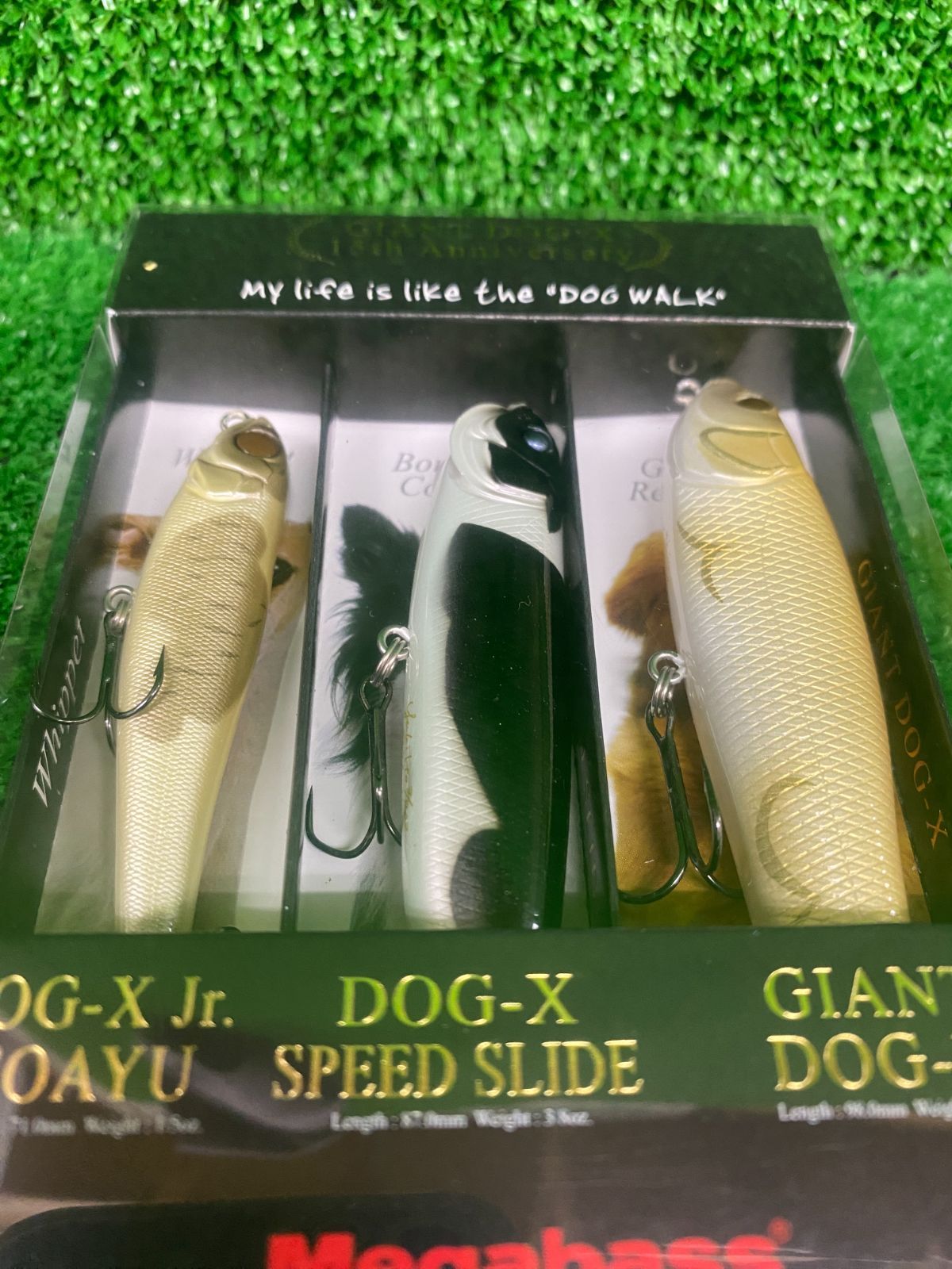 DOG-X 本物 15th セット (栗東店）